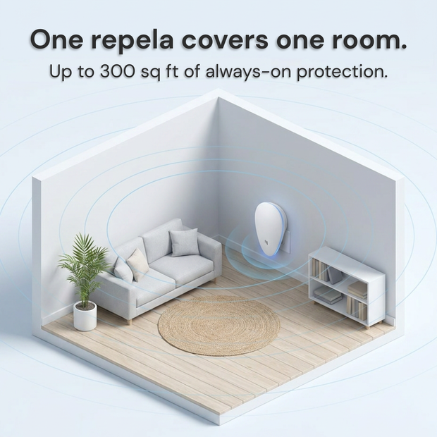 One Repela covers one room, up to 300 sq ft